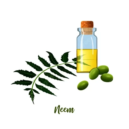 Neem oil